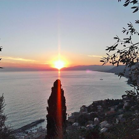 Villetta Sul Mare Camogli Exterior foto