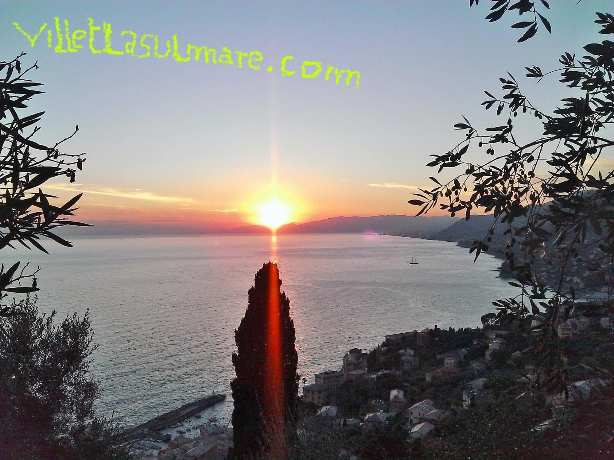 Villetta Sul Mare Camogli Exterior foto